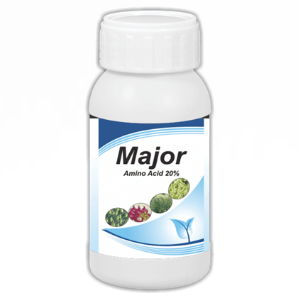 Major - Amino Acid 20%